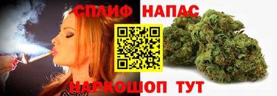 гашик Будённовск